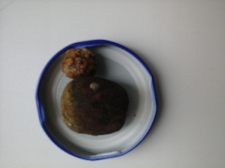 foto_1
