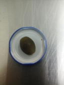 foto_3