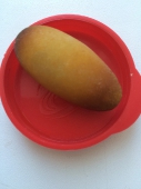 MD